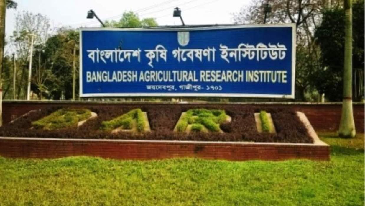 বাংলাদেশ কৃষি গবেষণা ইনস্টিটিউটে বড় নিয়োগ, পদ ১৯১, আবেদন এইচএসসি-এসএসসি পাসেও