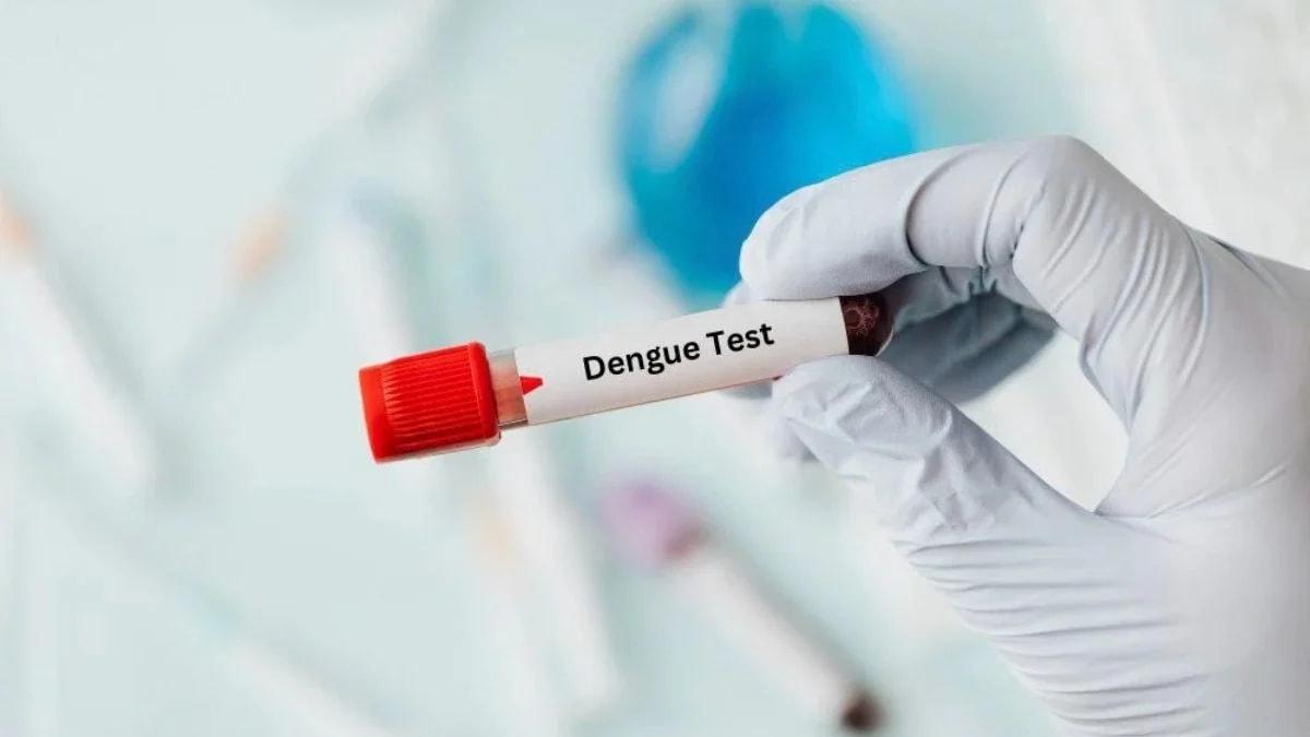 ডেঙ্গুর যেসব লক্ষণ অবহেলা করলেই হতে পারে বিপদ