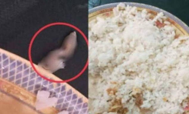 নজরুল বিশ্ববিদ্যালয়ের হলের ডাইনিংয়ের খাবারে মিলল সেদ্ধ টিকটিকি